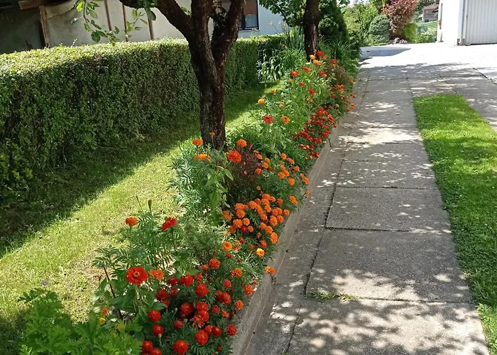 Studio Apartman Skudar