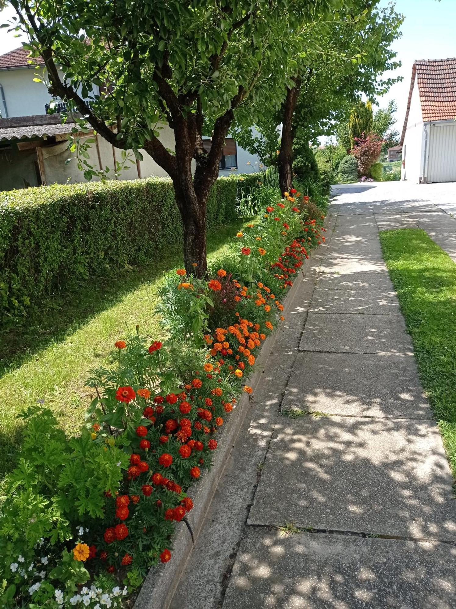 Appartement Skudar *